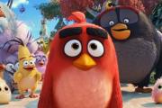 《愤怒的小鸟2》发布国际版预告 “猪鸟联盟”欢乐集结