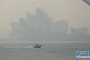 澳大利亚林火肆虐 悉尼浓烟围城